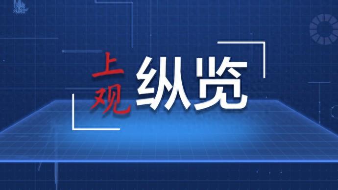 俄罗斯滨海边疆区首府符拉迪沃斯托克10日在市中心广场首次举办中国农历新年庆祝活动