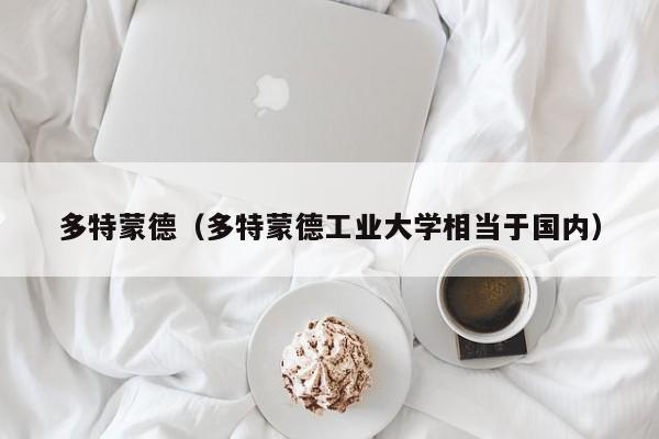 多特蒙德（多特蒙德工业大学相当于国内）